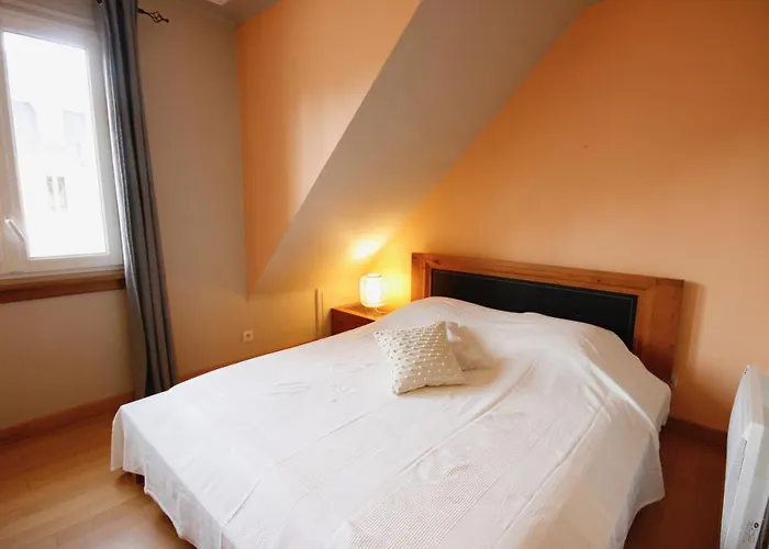 Schweitzer Apartment Colmar